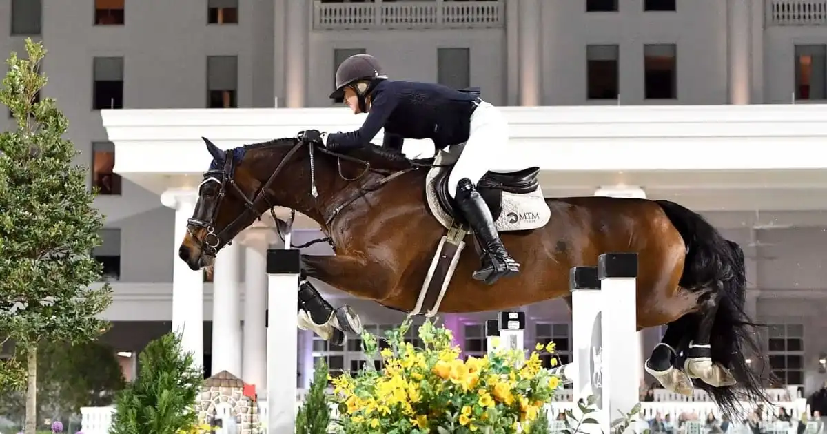 Equestrian Elegance: The Culture and Craft of High-End Horsemanship